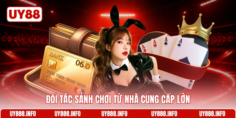 Đối tác sảnh chơi từ nhà cung cấp lớn