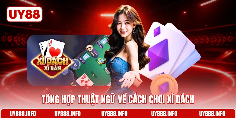 Tổng hợp thuật ngữ về cách chơi xì dách